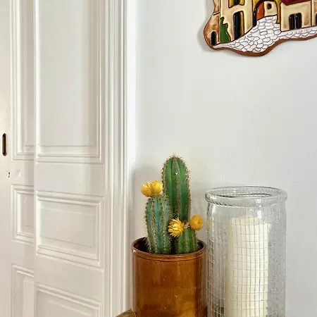 Bright & Spacious In Great Location Apartment Cannes